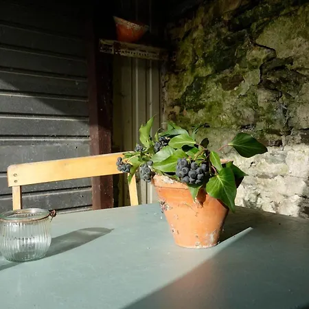 Apartment Zeller Kehr *